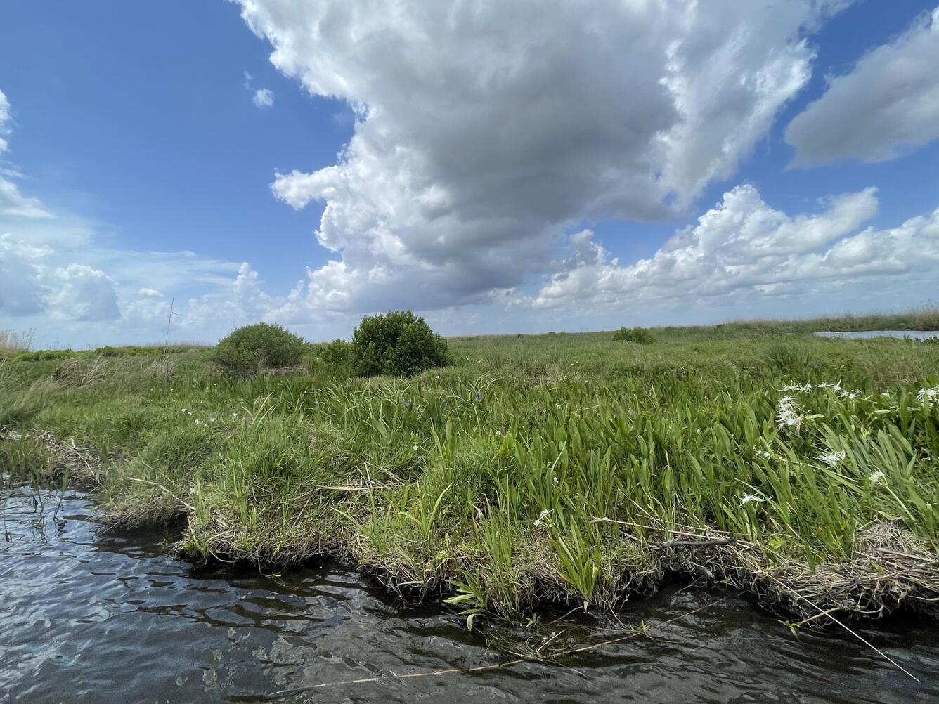 Celebrating American Wetlands Month with USGS Wetland Science